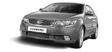 Cerato BASE